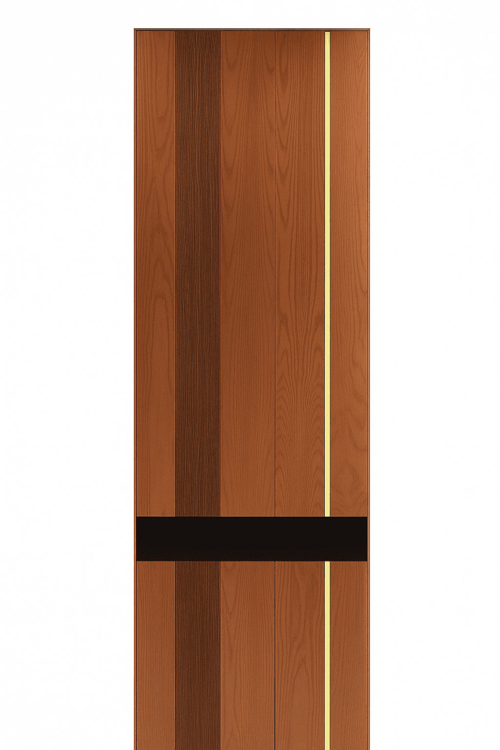 Modern WPC door with vertical panels, black horizontal accent, and gold strip